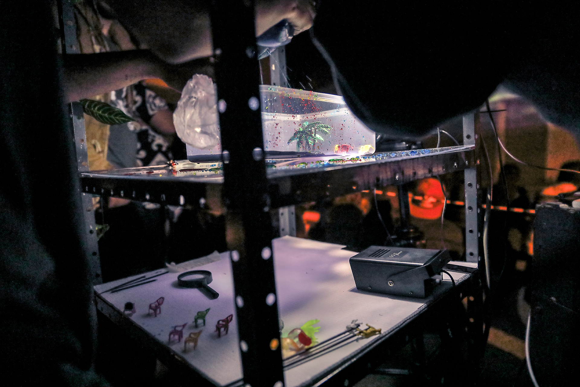 JardIn en directo_09