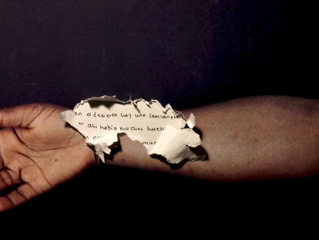 Blessy documental animacio