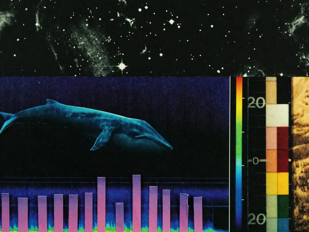 Video animacio 25N UOC