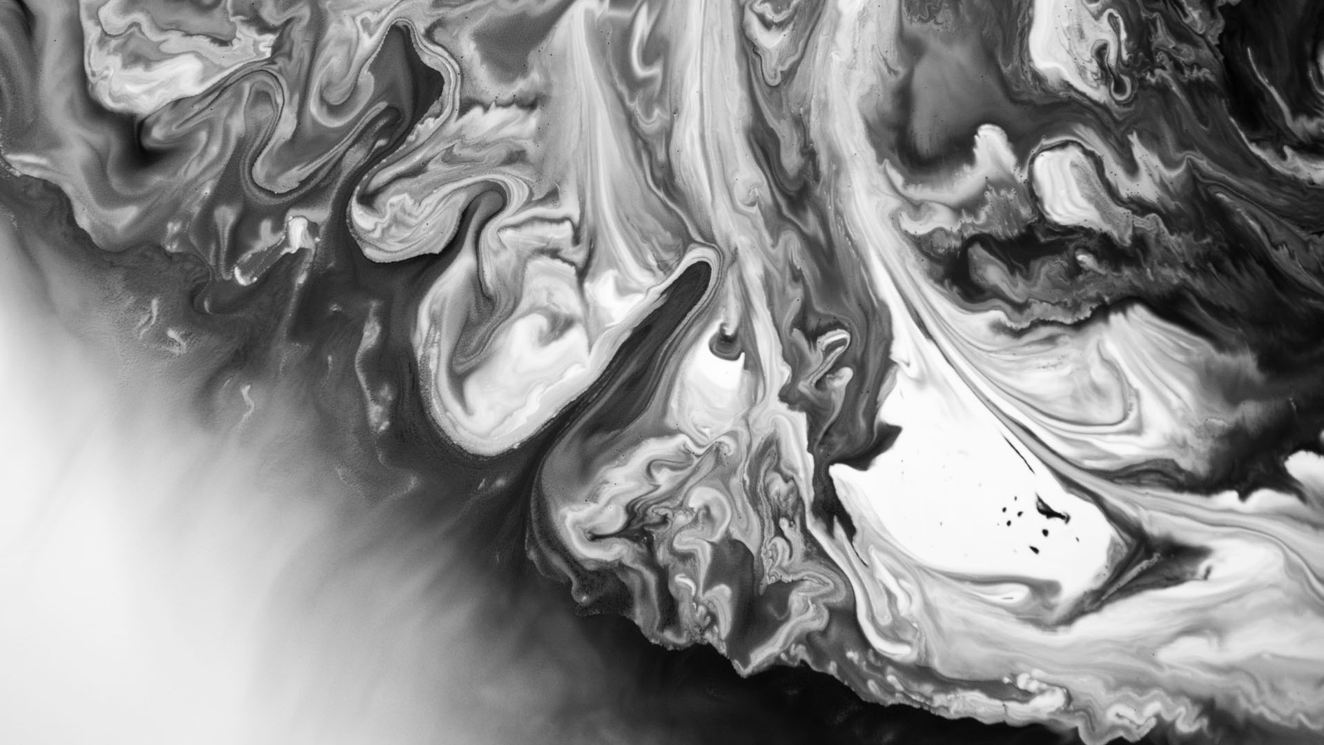 Macar_CarmeGomila_FrancescLlompart_02_02_web